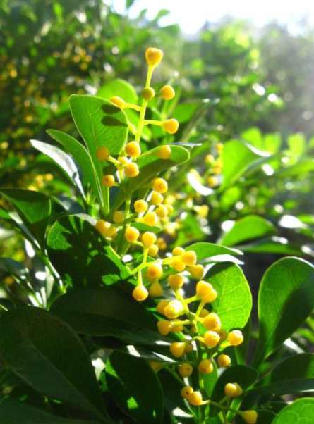 耐酸磚，盲道磚，陶瓷透水磚源頭生產(chǎn)廠家到底適不適合參加展會